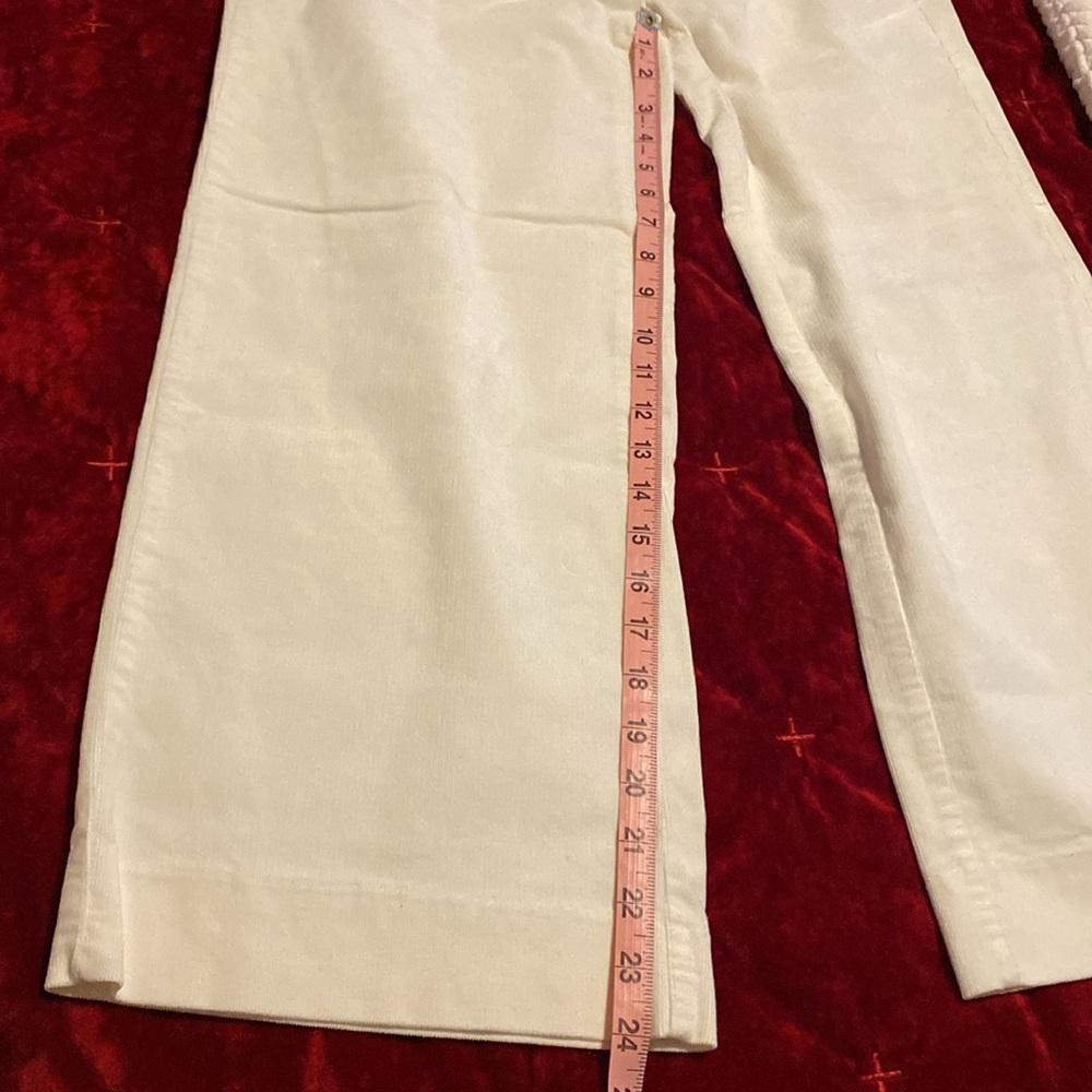 Banana Republic Corduroy Pants - Picture 9 of 10